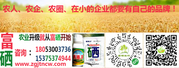 農(nóng)業(yè)農(nóng)村部實施新規(guī)，全國食用農(nóng)產(chǎn)品全面推行合格證制度